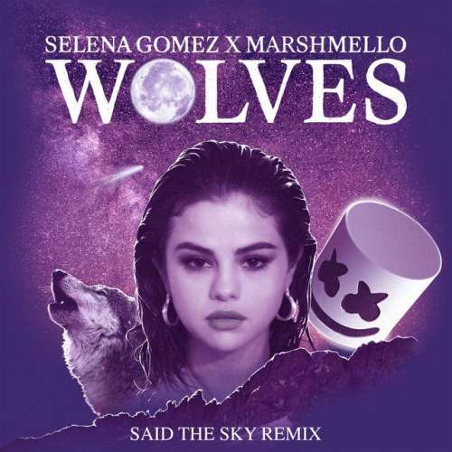 Wolves - Said The Sky Remix